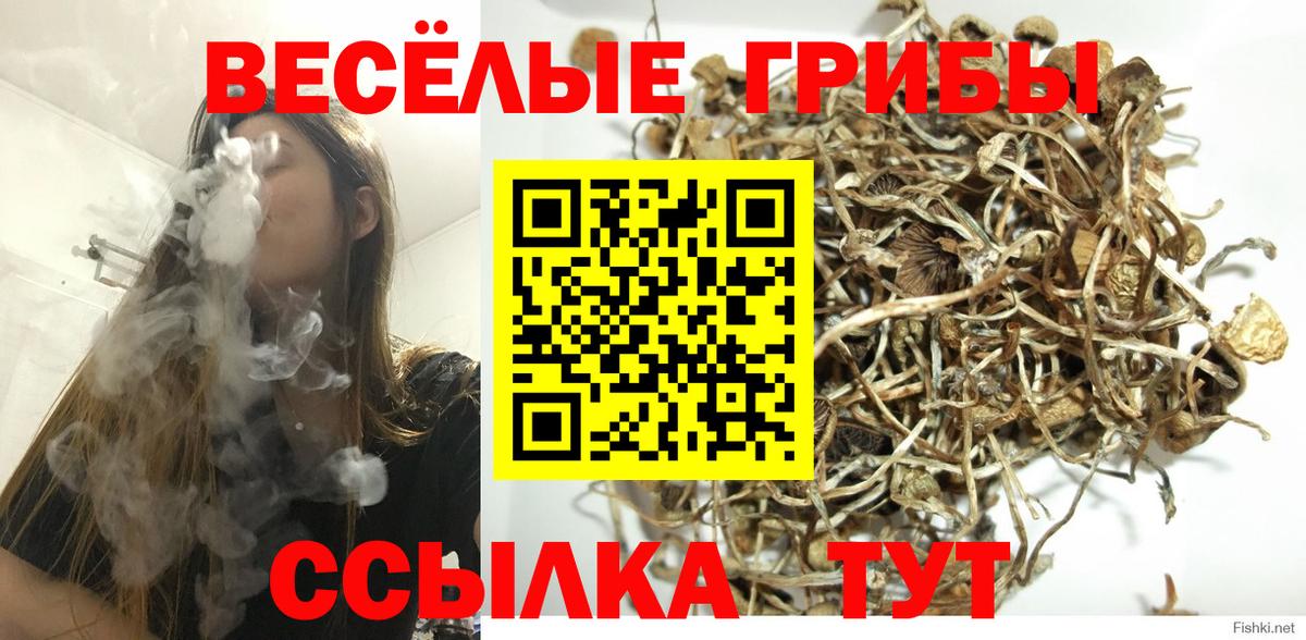 Псилоцибиновые грибы ЛСД  Вход с VPN  Знаменск  Галлюциногенные грибы GOLDEN TEACHER 