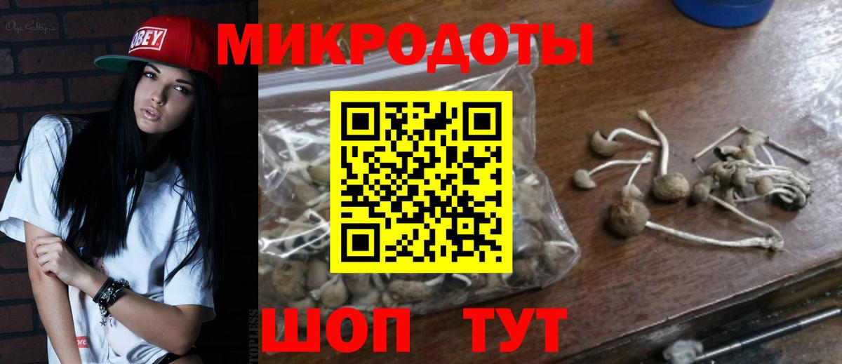 Галлюциногенные грибы Cubensis Знаменск